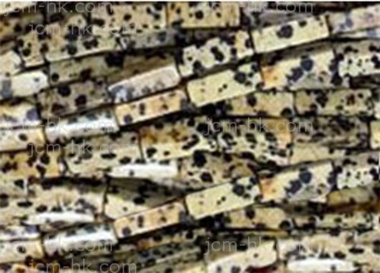 4x13mm Dalmatian Jasper Jasper Cube Beads 15.5" natural [h2b23]