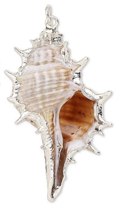 2 Silver Plated Steel & Enamel 45x20mm Murex Seashell (Natural) Charms