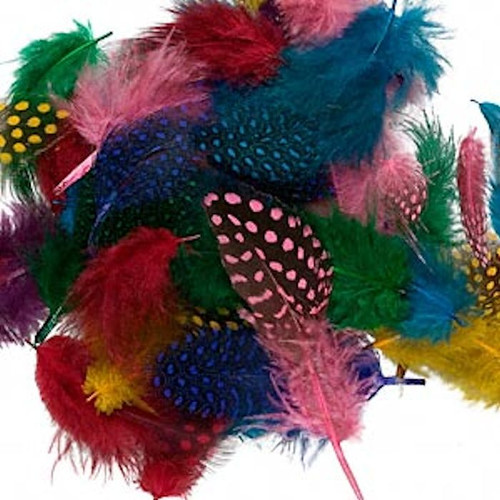 0.1 Ounce (Approximately 95 Feathers) Guinea 2-4" Long Feather Mix