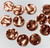 12 Copper Plated Double Sided Hammered 8mm Round Disc Coin 2 Hole Connectors *