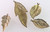 4 Antiqued Gold Finished Mesh Leaf Charm Mix *