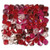 Bead, Bicone, 144 Preciosa Czech Crystal 4mm Rondelle Bicone Bead VINEYARD Mix *