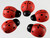 10 Painted Red & Black 18x24mm Flat Back Decorative Wooden Ladybugs *