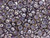 Luster Iris Tanzanite Czech Glass 4x2mm Teacup Dome Shaped Beads Tube(130)