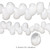1 Strand Moon Shell Natural White 13x8mm-22x13mm Shell Beads