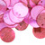 100 Fuchsia Mussel Shell 15mm (0.59") Round Coin Drop Charms with 1mm Hole