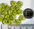 50 Czech Pressed Glass Olivine Green Top Drilled 9x8.5mm Leaf Beads with 0.9-1mm Hole
