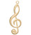 Focal, 50 Large Gold Plated Brass Single Sided 31x12mm Treble Clef  Music Note Charms