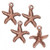 4 Antiqued Copper Pewter 20x17mm StarFish Sea Creature Charms *