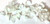 Charms, Glass, Leaf, 54 Frosted Clear & Opaque White Pressed Glass Leaf Charm Mix with Loop  *