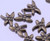 24 Antiqued Brass Plated Pewter 8x6mm Dragonfly Beads with 0.7mm Hole