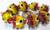 Bead, Fish, 8 Lampworked Glass Yellow Orange Red Tan 15mm Tropical Fish Beads *