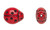 LADYBUG Bead, Red Black Czech Glass 13x11mm with 1.1mm Hole 1 Strand(30) `