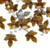 20 Antiqued Silver Plated Brass & Brown Enamel 13x12mm Maple Leaf Charms