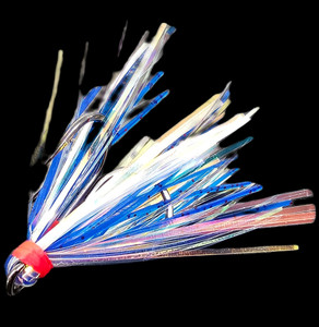 Large Blue UV Peanut Fly