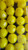 8mm Lemon Drop Faceted Beads (24ct)
