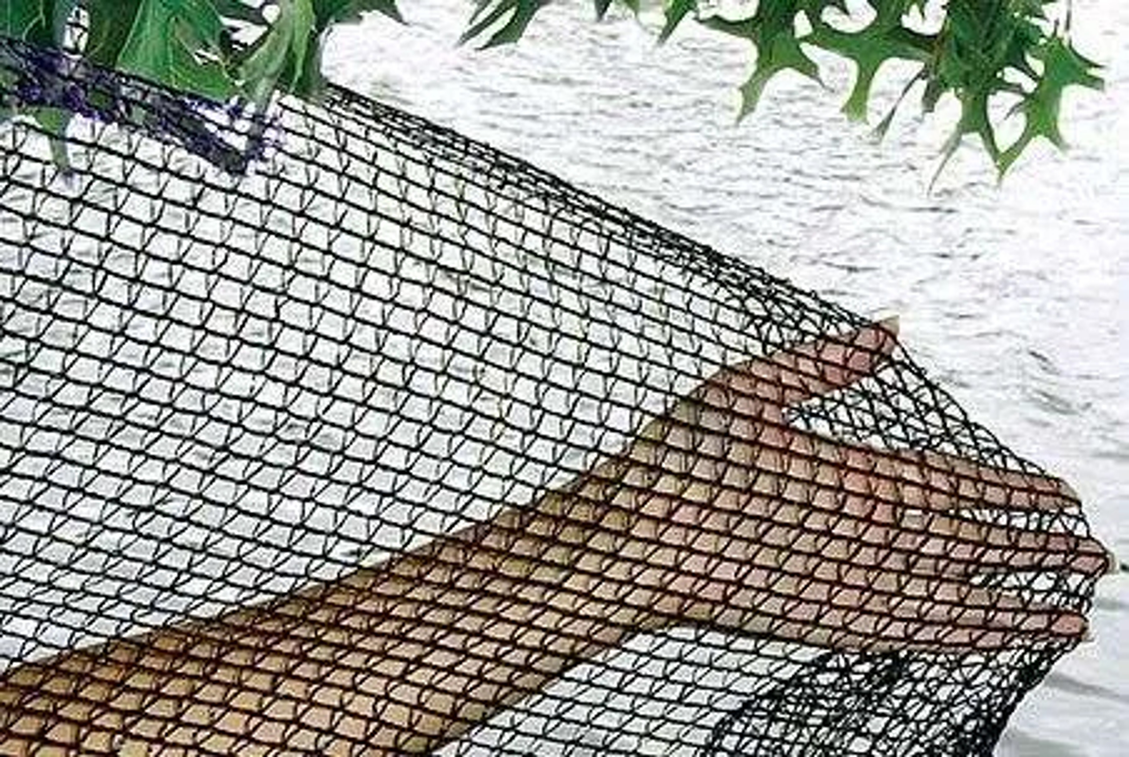 DeWitt Deluxe Pond Netting
