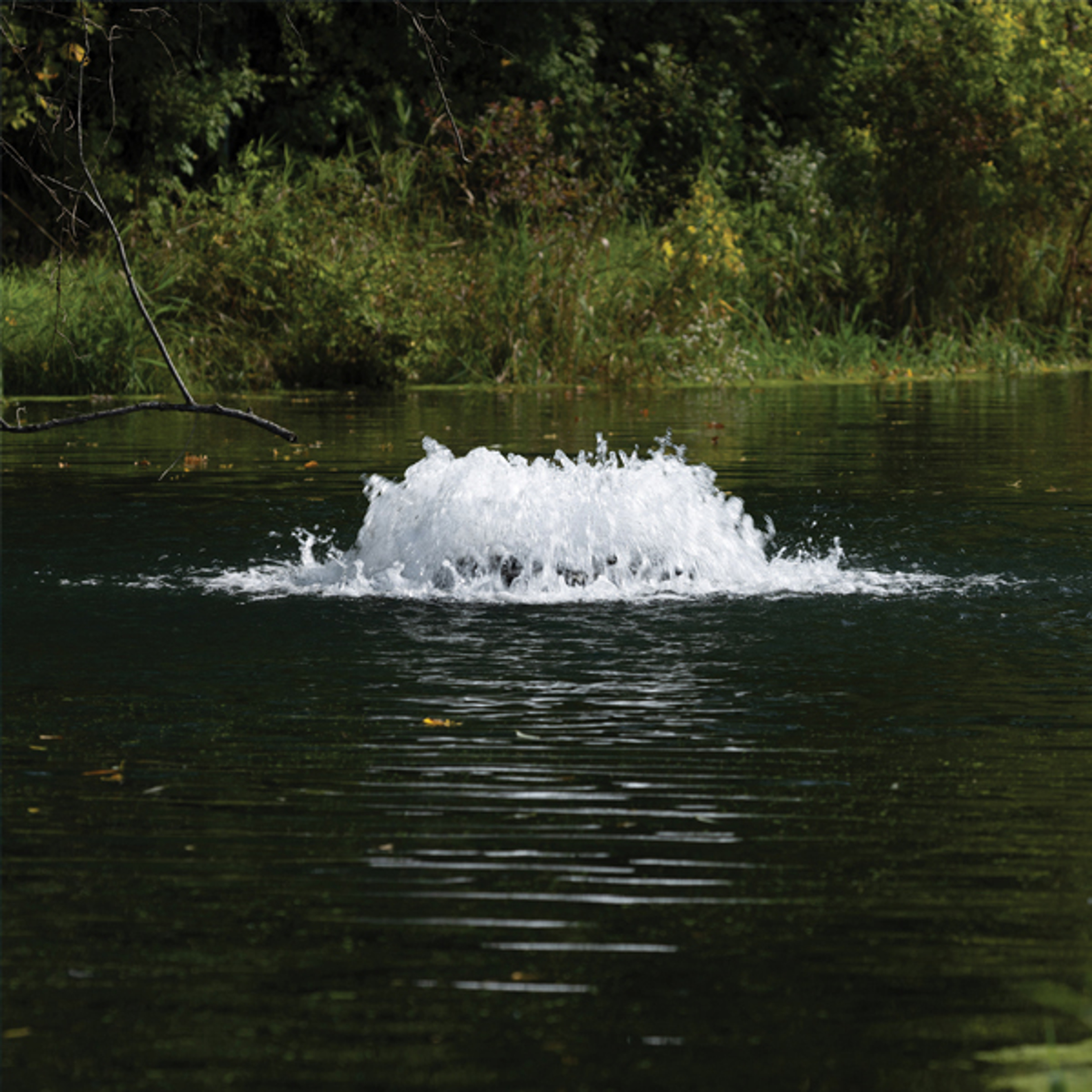 Kasco 2400AF 1/2 HP Surface Aerator