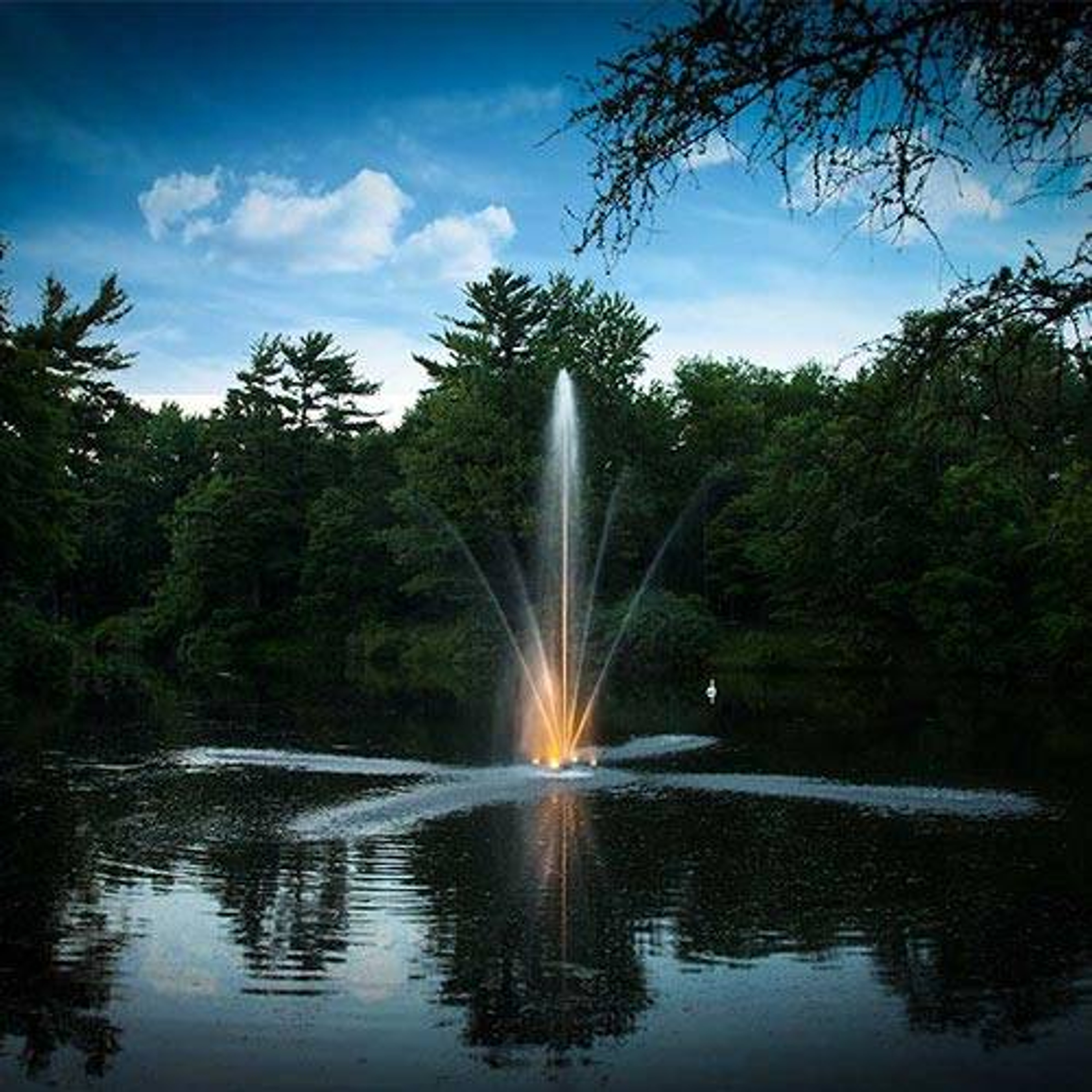 Scott Aerator Clover Fountain