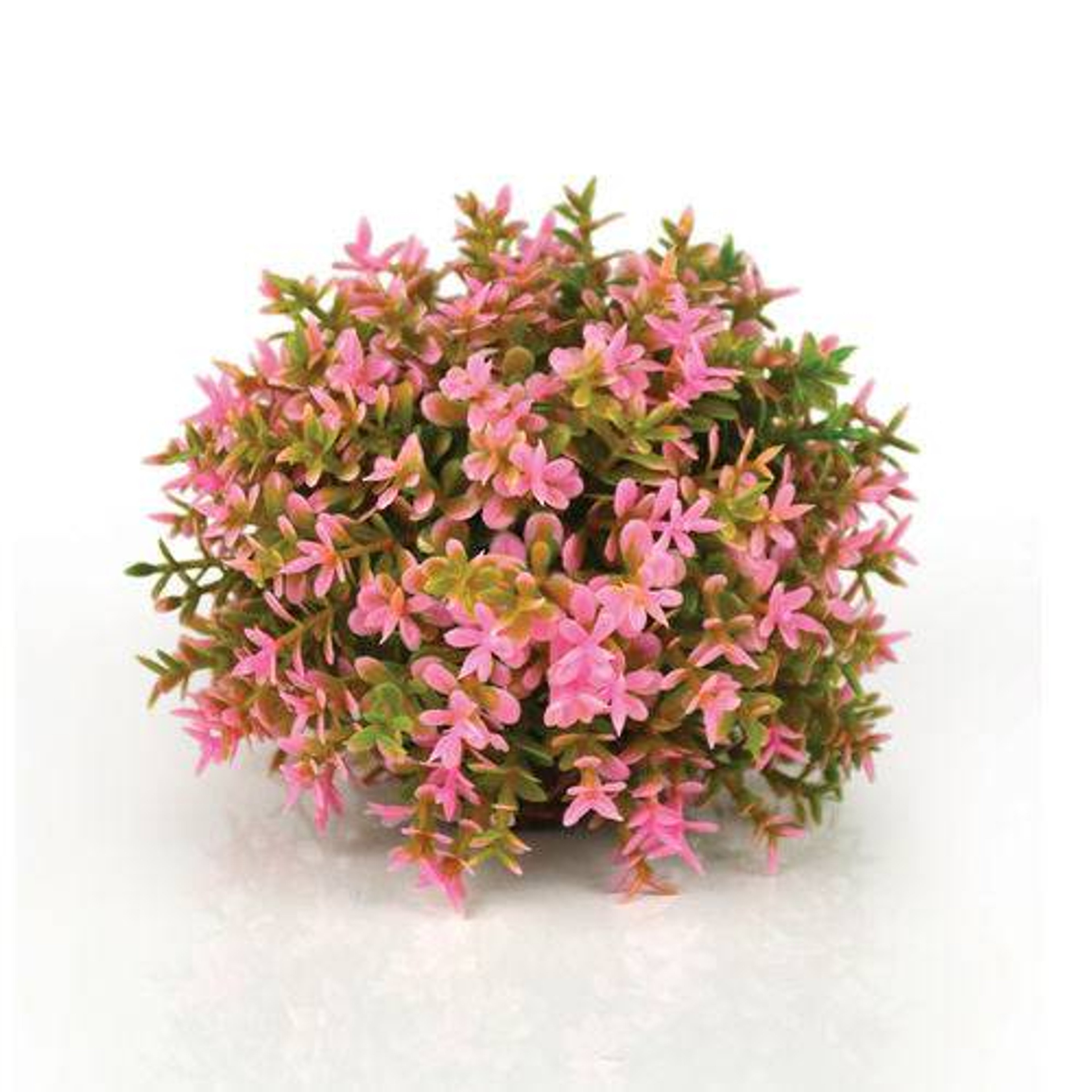 Oase biOrb Flower Ball Pink
