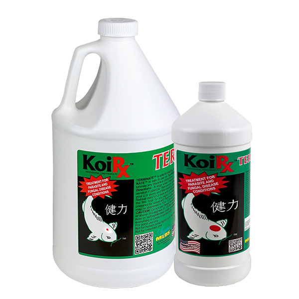 Aqua Meds Koi Terminate - For Fungal & Parasitic Control
