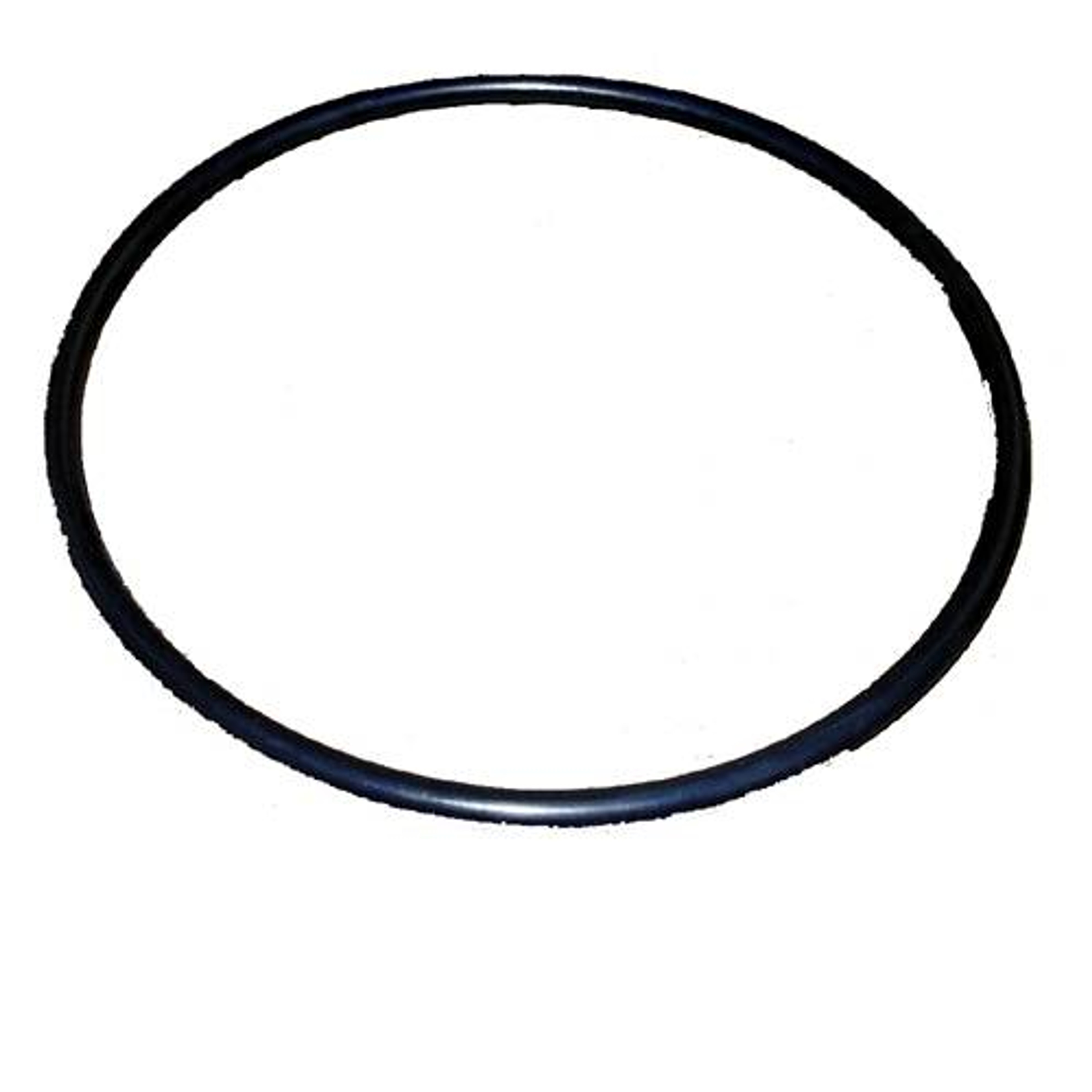 Sequence Replacement lid O-ring for Sequence Alpha Primer Pumps