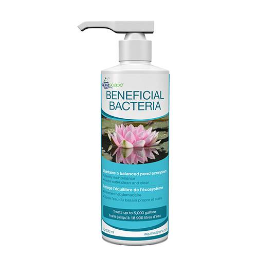 Aquascape Beneficial Bacteria