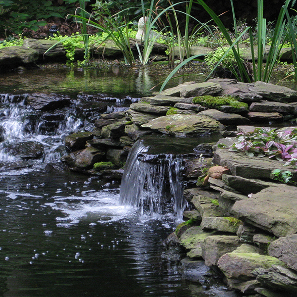 EasyPro Eco-Bog Pond Filtration Kits