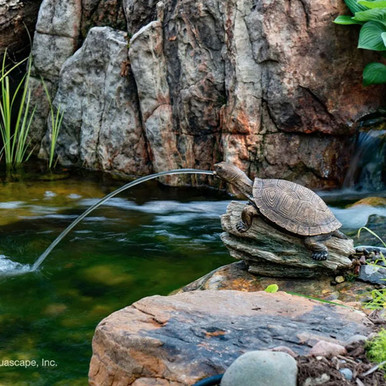 Aquascape Turtle on Log Spitter
