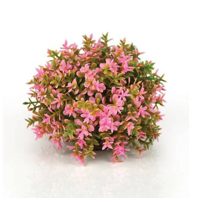 Oase biOrb Flower Ball Pink
