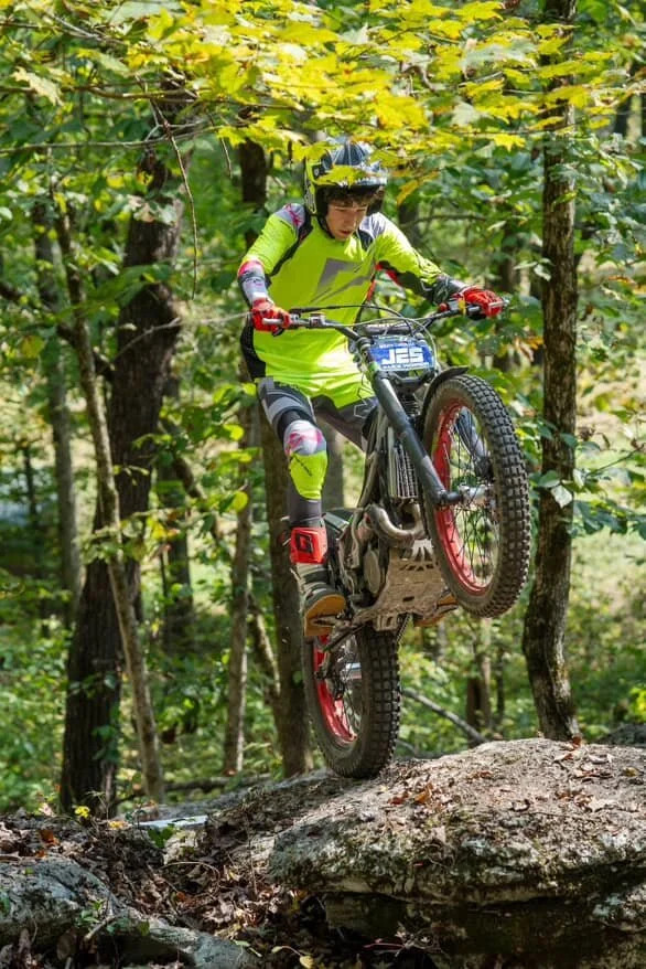 Tall Boy Fork Guard - carbon