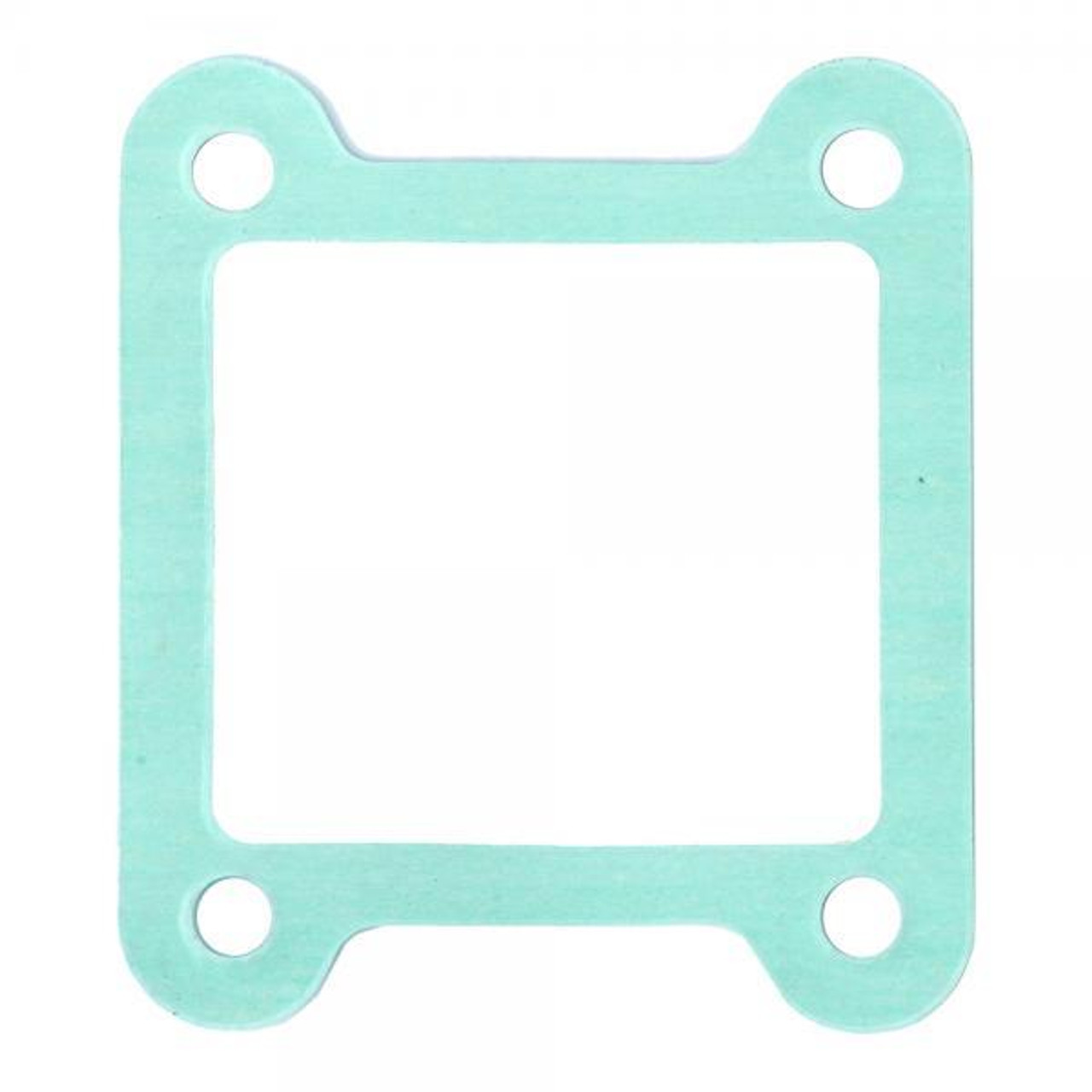 Gasket Manifold Reed Valve (CGGAS280244005)