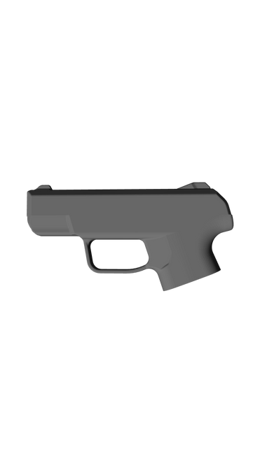 Ruger Security 9 Compact