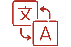 Multi-Language Icon