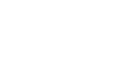 Nuance Dragon Speech Recognition