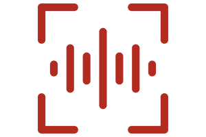 Voice command icon