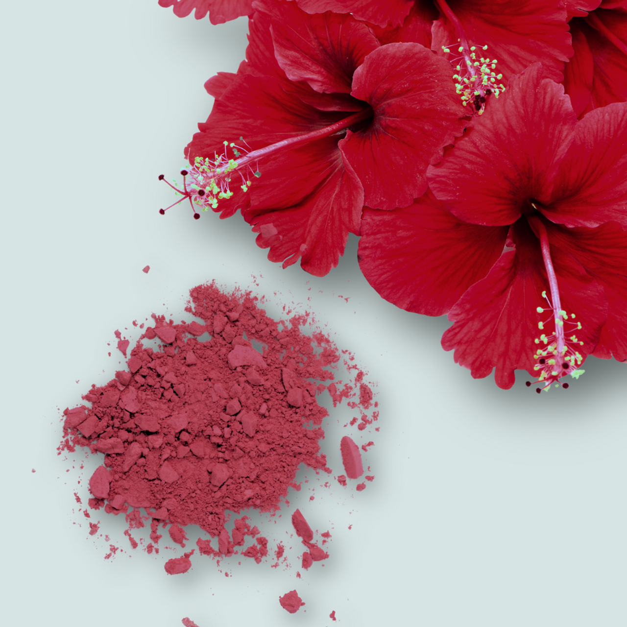 Bulk Hibiscus Flowers - Dried