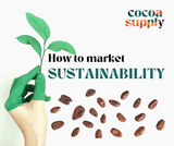 Using Sustainable Cacao Ingredients as a Market Differentiator