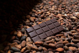 ​Chocolate: An explanation of commodity trading and child labor in the cocoa industry  