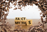 Clearing Up Common Chocolate Myths
