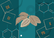 Current US Regulations: Cadmium, Other Heavy Metals and Elements in Cacao