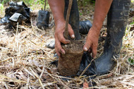 The Secret Beneath Ecuador’s Legendary Cacao