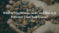 What Is Fine Aroma Cacao, and How Is It Different From Bulk Cocoa?