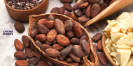 New Year, New Ambitions: Why Working With Cacao Is a Strategic Choice