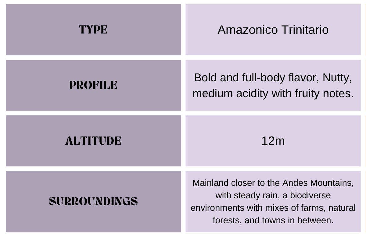 -san-jose-beans-descriptions-2-.png