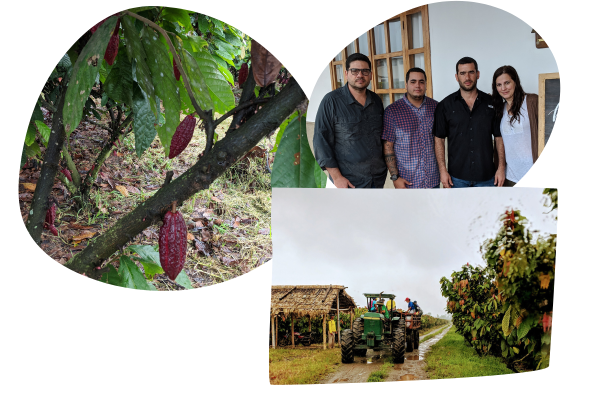 -san-jose-beans-descriptions-3-.png