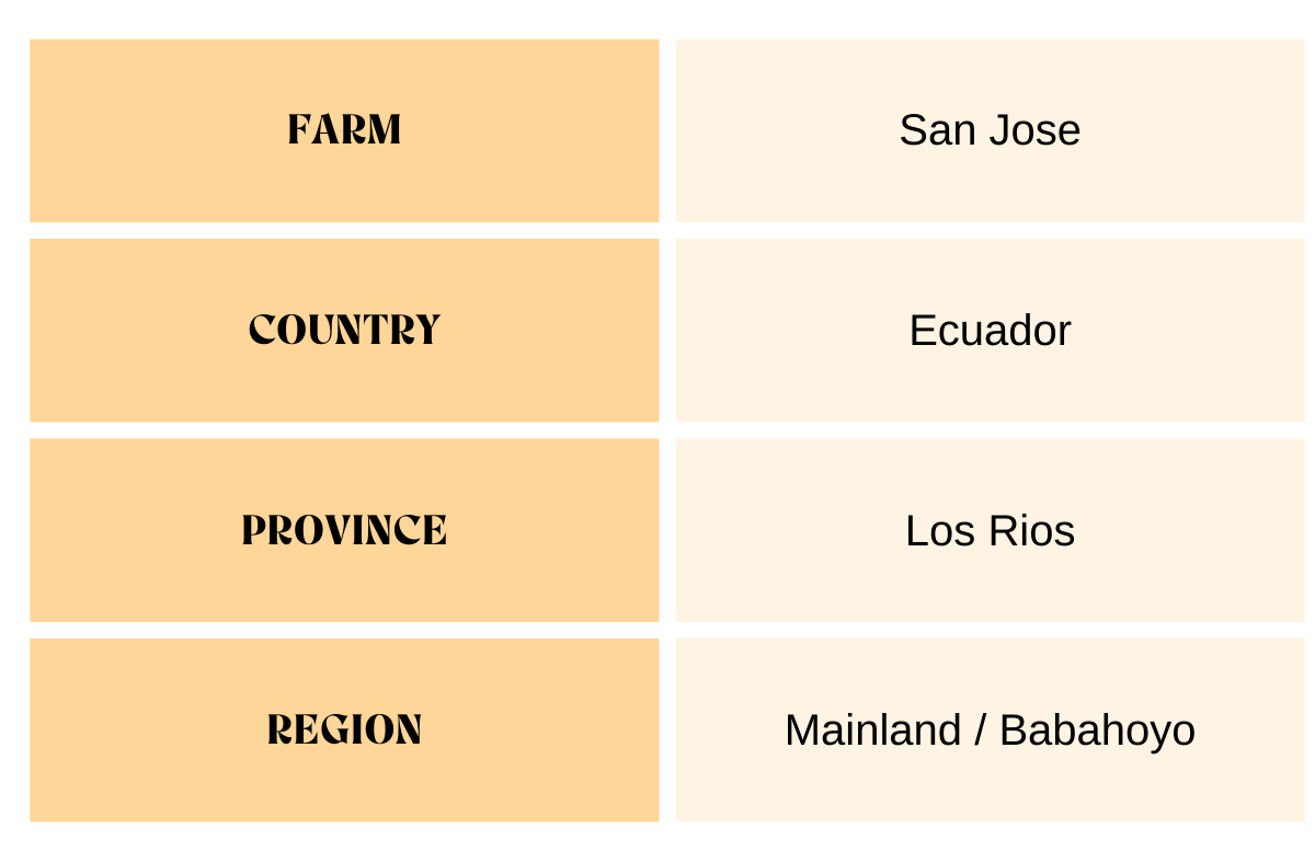 -san-jose-beans-descriptions.png
