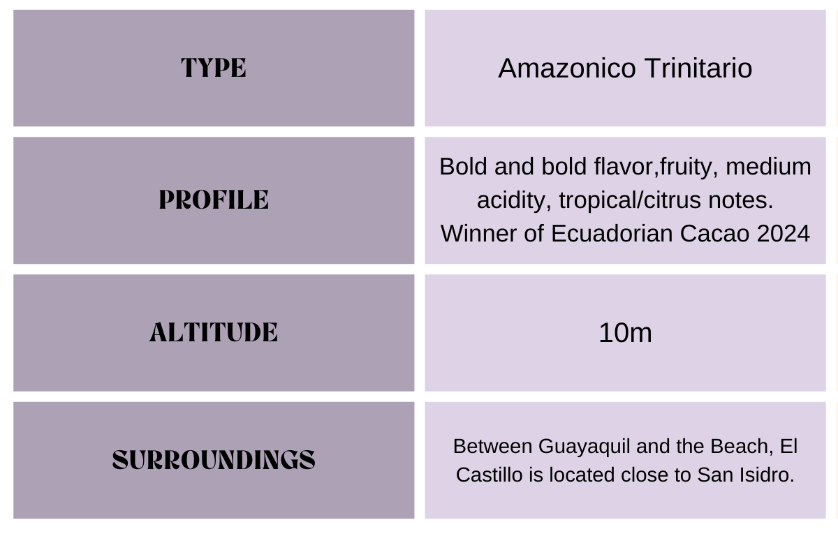 hacienda-castillo-beans-descriptions-1-.png