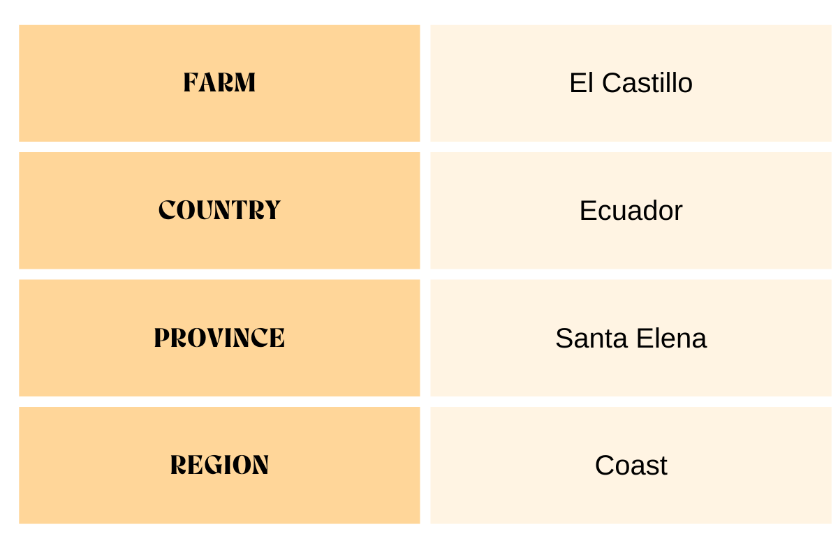 hacienda-castillo-beans-descriptions.png