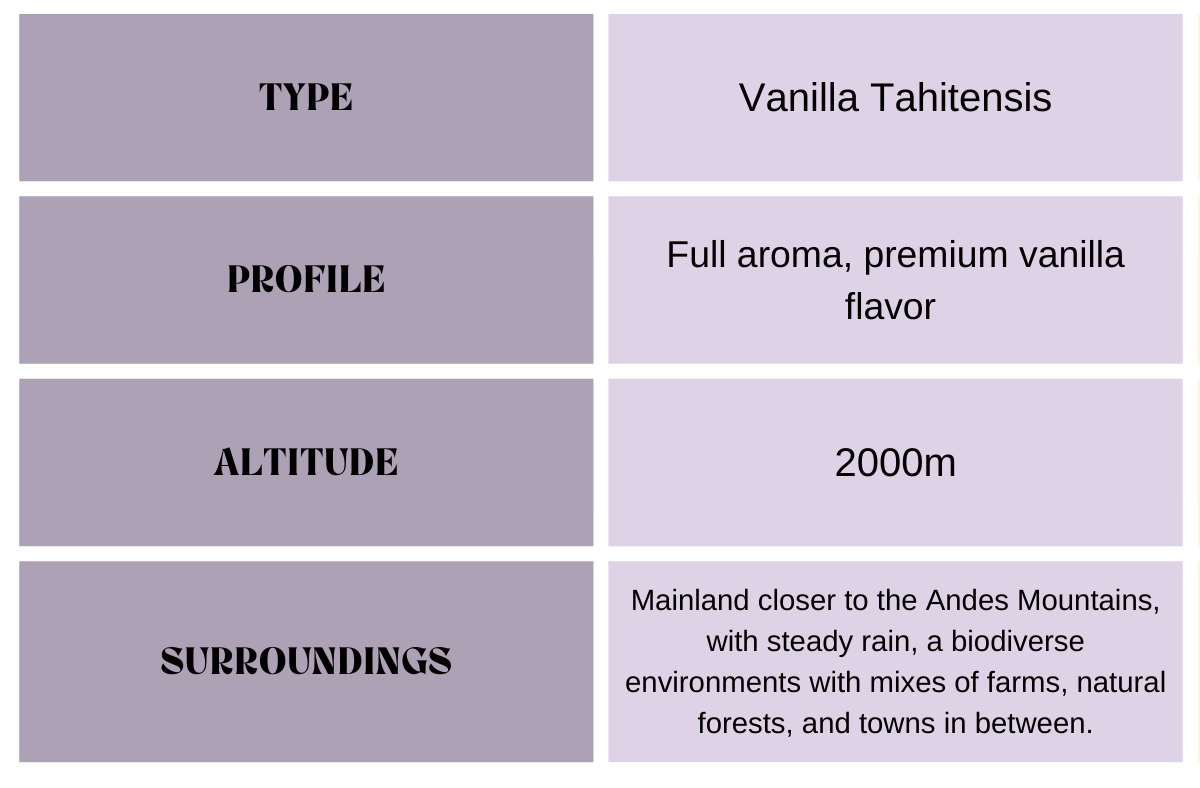 vanilla-beans-descriptions-1-.png